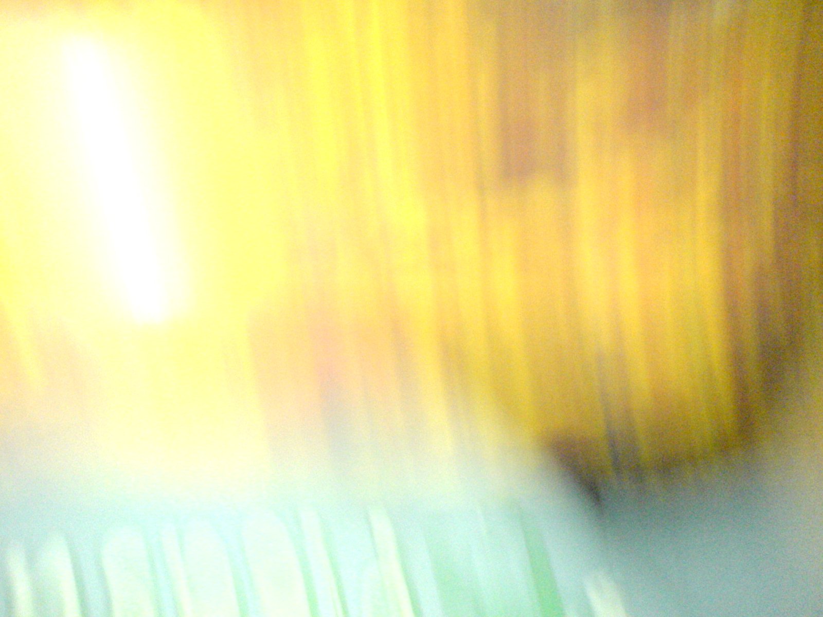 DSC00660.JPG
